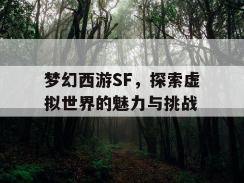 梦幻西游SF，探索虚拟世界的魅力与挑战