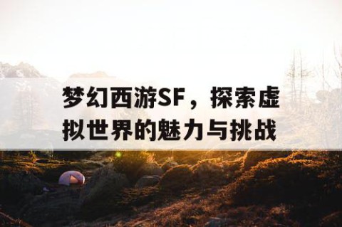 梦幻西游SF，探索虚拟世界的魅力与挑战