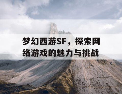 梦幻西游SF，探索网络游戏的魅力与挑战