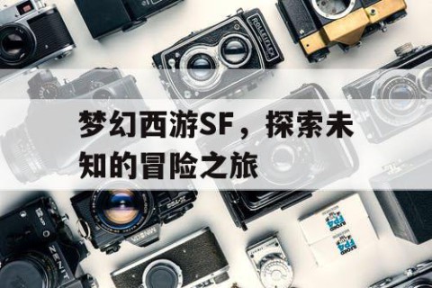 梦幻西游SF，探索未知的冒险之旅