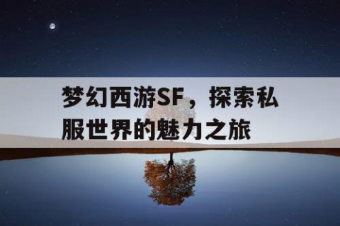 梦幻西游SF，探索私服世界的魅力之旅