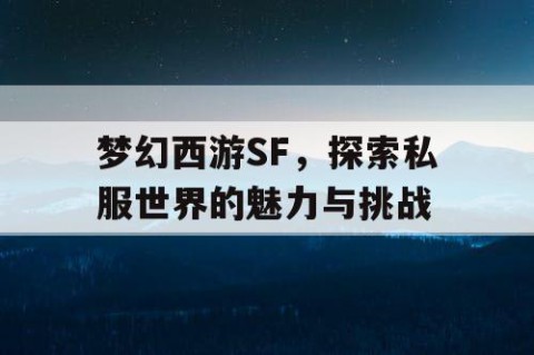 梦幻西游SF，探索私服世界的魅力与挑战