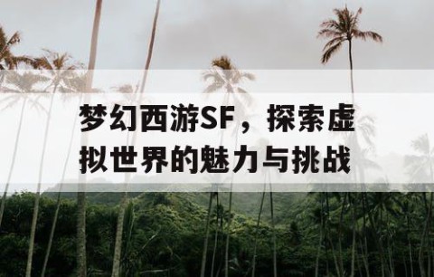 梦幻西游SF，探索虚拟世界的魅力与挑战