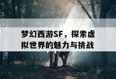 梦幻西游SF，探索虚拟世界的魅力与挑战