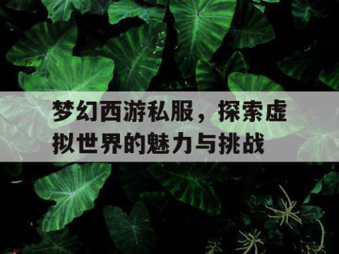 梦幻西游私服，探索虚拟世界的魅力与挑战