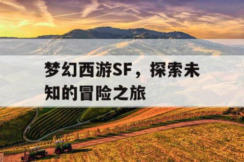 梦幻西游SF，探索未知的冒险之旅