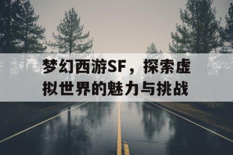 梦幻西游SF，探索虚拟世界的魅力与挑战