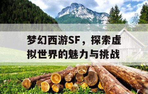 梦幻西游SF，探索虚拟世界的魅力与挑战