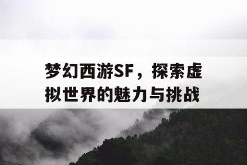 梦幻西游SF，探索虚拟世界的魅力与挑战