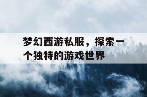 梦幻西游私服，探索一个独特的游戏世界