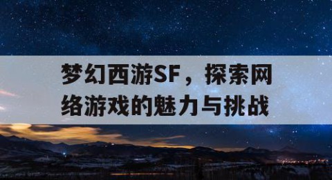 梦幻西游SF，探索网络游戏的魅力与挑战