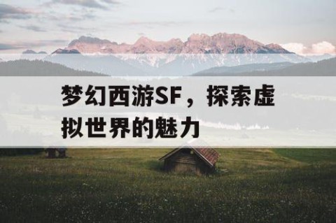 梦幻西游SF，探索虚拟世界的魅力