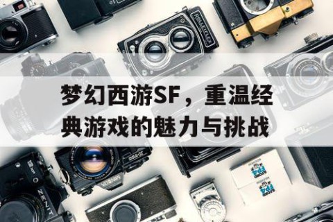 梦幻西游SF，重温经典游戏的魅力与挑战