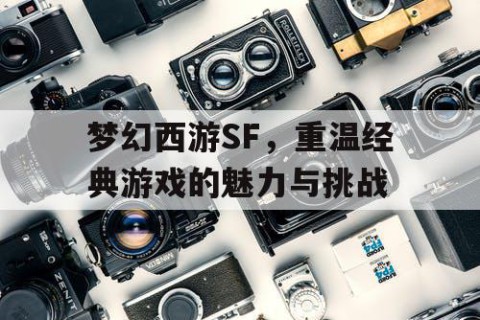 梦幻西游SF，重温经典游戏的魅力与挑战