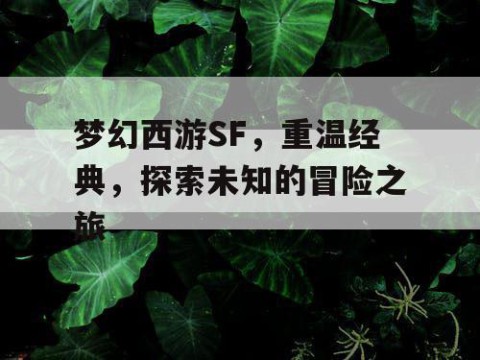 梦幻西游SF，重温经典，探索未知的冒险之旅