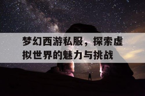 梦幻西游私服，探索虚拟世界的魅力与挑战