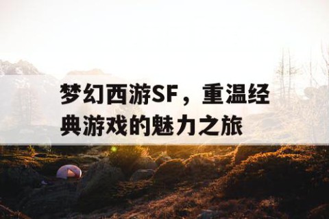 梦幻西游SF，重温经典游戏的魅力之旅