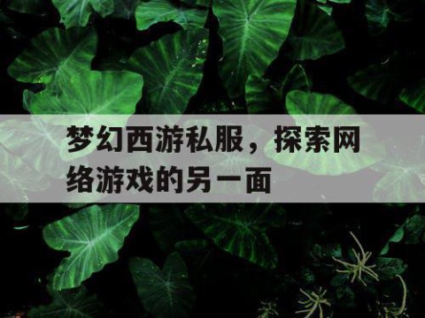 梦幻西游私服，探索网络游戏的另一面