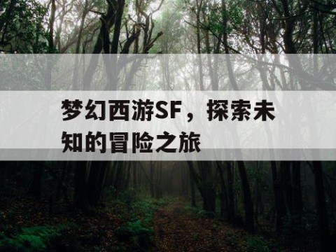 梦幻西游SF，探索未知的冒险之旅