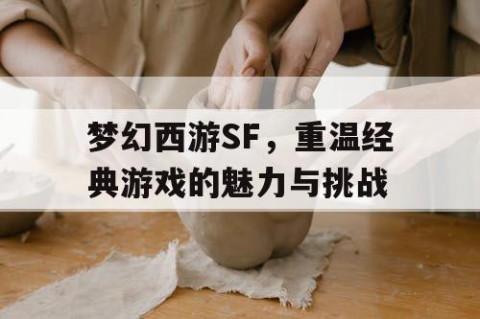 梦幻西游SF，重温经典游戏的魅力与挑战