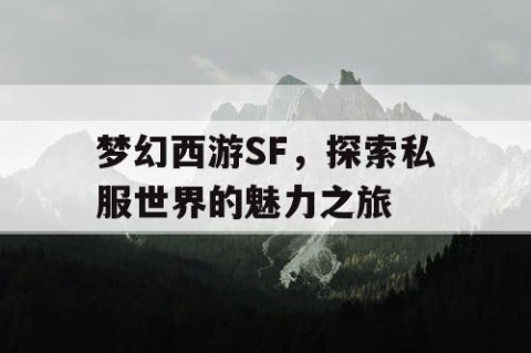 梦幻西游SF，探索私服世界的魅力之旅