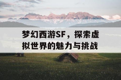 梦幻西游SF，探索虚拟世界的魅力与挑战