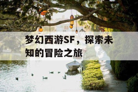 梦幻西游SF，探索未知的冒险之旅