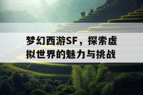 梦幻西游SF，探索虚拟世界的魅力与挑战