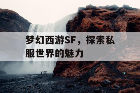 梦幻西游SF，探索私服世界的魅力