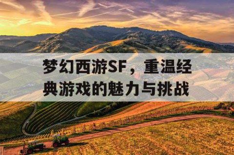 梦幻西游SF，重温经典游戏的魅力与挑战