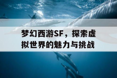 梦幻西游SF，探索虚拟世界的魅力与挑战