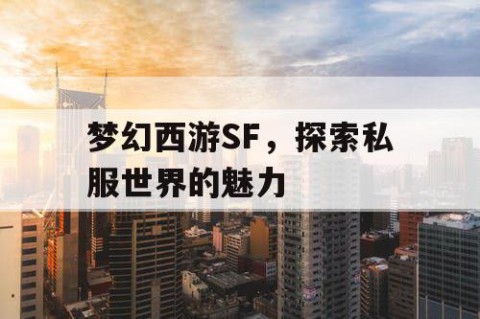 梦幻西游SF，探索私服世界的魅力