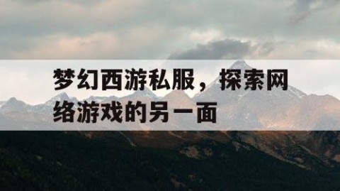 梦幻西游私服，探索网络游戏的另一面