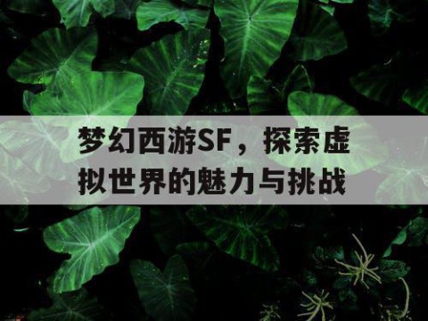 梦幻西游SF，探索虚拟世界的魅力与挑战