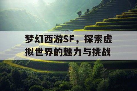 梦幻西游SF，探索虚拟世界的魅力与挑战