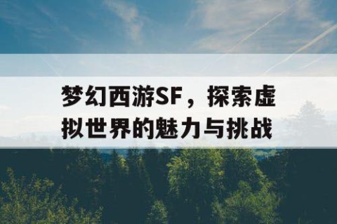 梦幻西游SF，探索虚拟世界的魅力与挑战