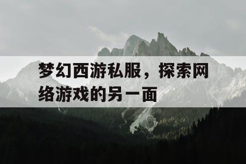 梦幻西游私服	，探索网络游戏的另一面