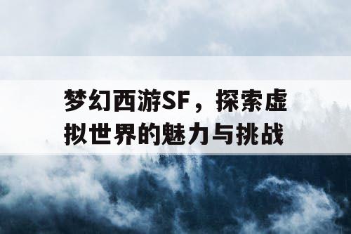 梦幻西游SF，探索虚拟世界的魅力与挑战