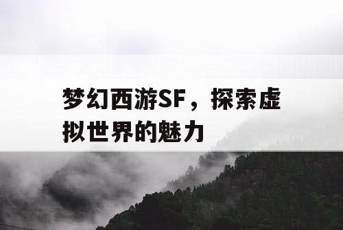 梦幻西游SF	，探索虚拟世界的魅力