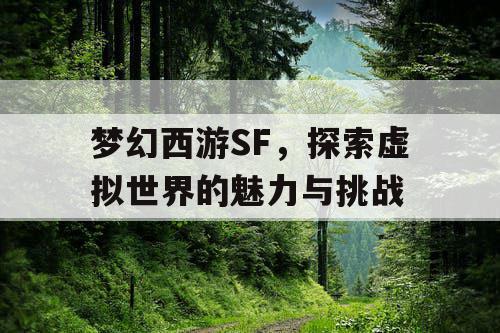 梦幻西游SF，探索虚拟世界的魅力与挑战