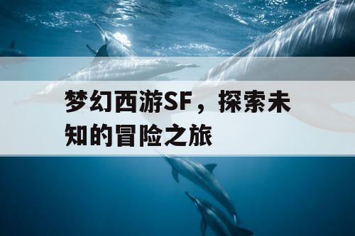 梦幻西游SF	，探索未知的冒险之旅