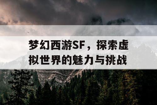 梦幻西游SF	，探索虚拟世界的魅力与挑战