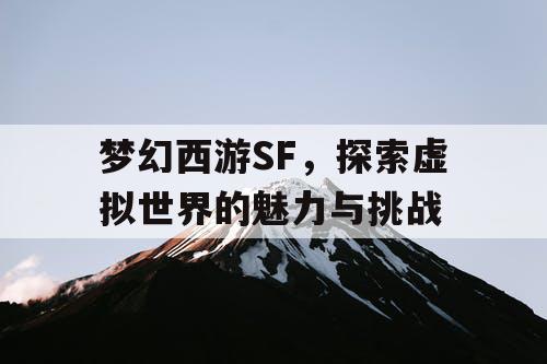 梦幻西游SF	，探索虚拟世界的魅力与挑战