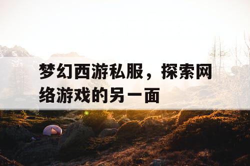 梦幻西游私服，探索网络游戏的另一面