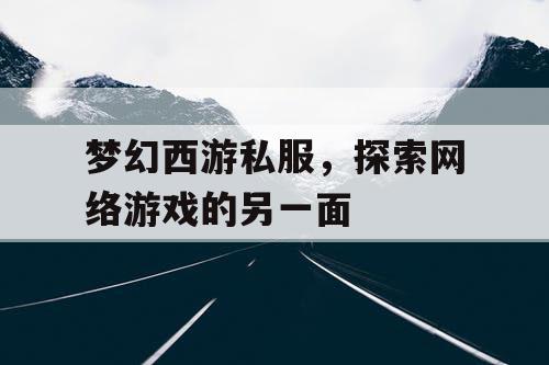 梦幻西游私服，探索网络游戏的另一面