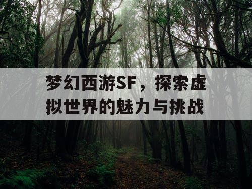 梦幻西游SF	，探索虚拟世界的魅力与挑战