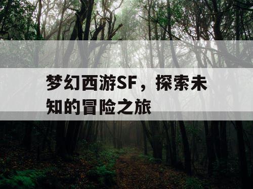 梦幻西游SF，探索未知的冒险之旅