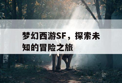 梦幻西游SF，探索未知的冒险之旅