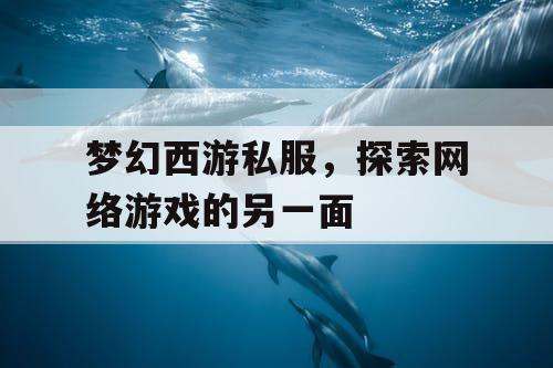 梦幻西游私服，探索网络游戏的另一面