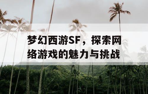 梦幻西游SF，探索网络游戏的魅力与挑战